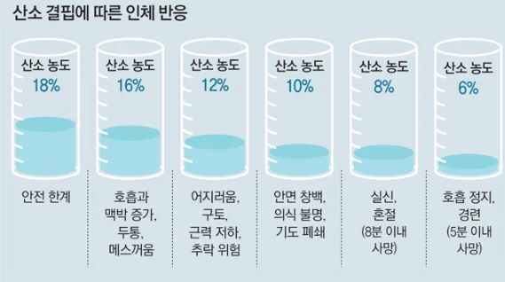 가스측정기 전문 완디코리아 WANDI®