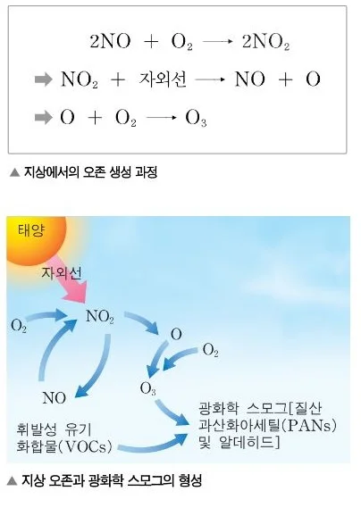 가스측정기 전문 완디코리아 WANDI®