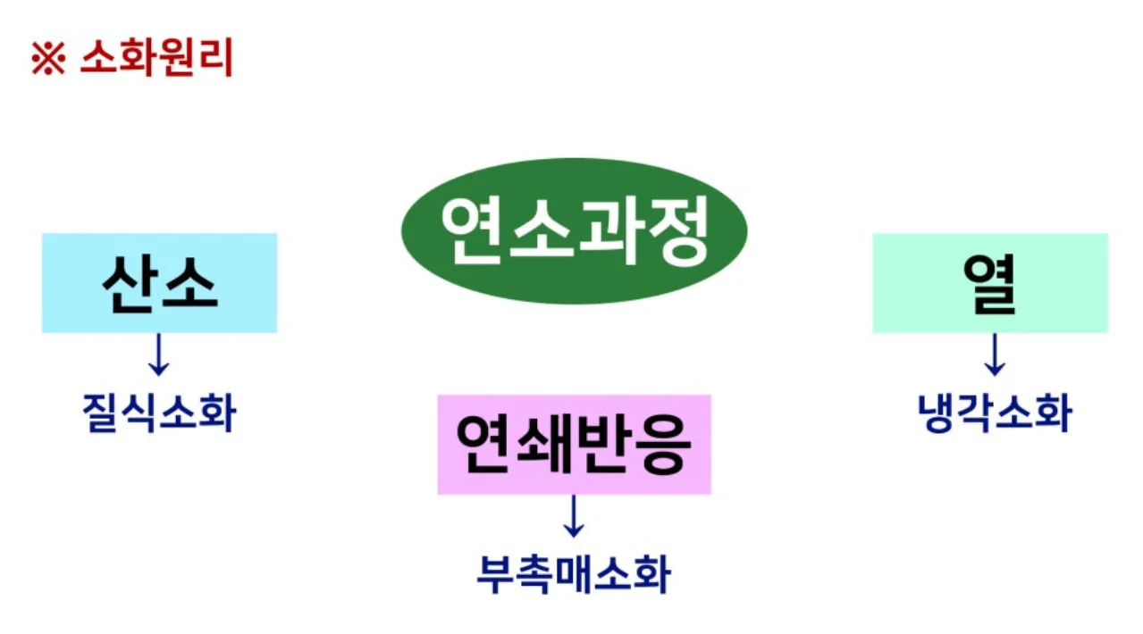 가스측정기 전문 완디코리아 WANDI®