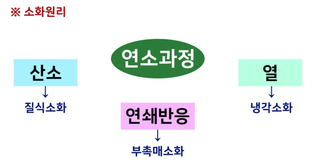 가스측정기 전문 완디코리아 WANDI®