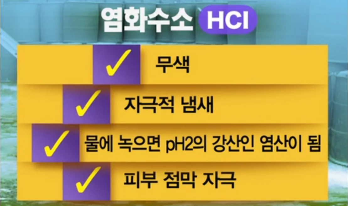 가스측정기 전문 완디코리아 WANDI®