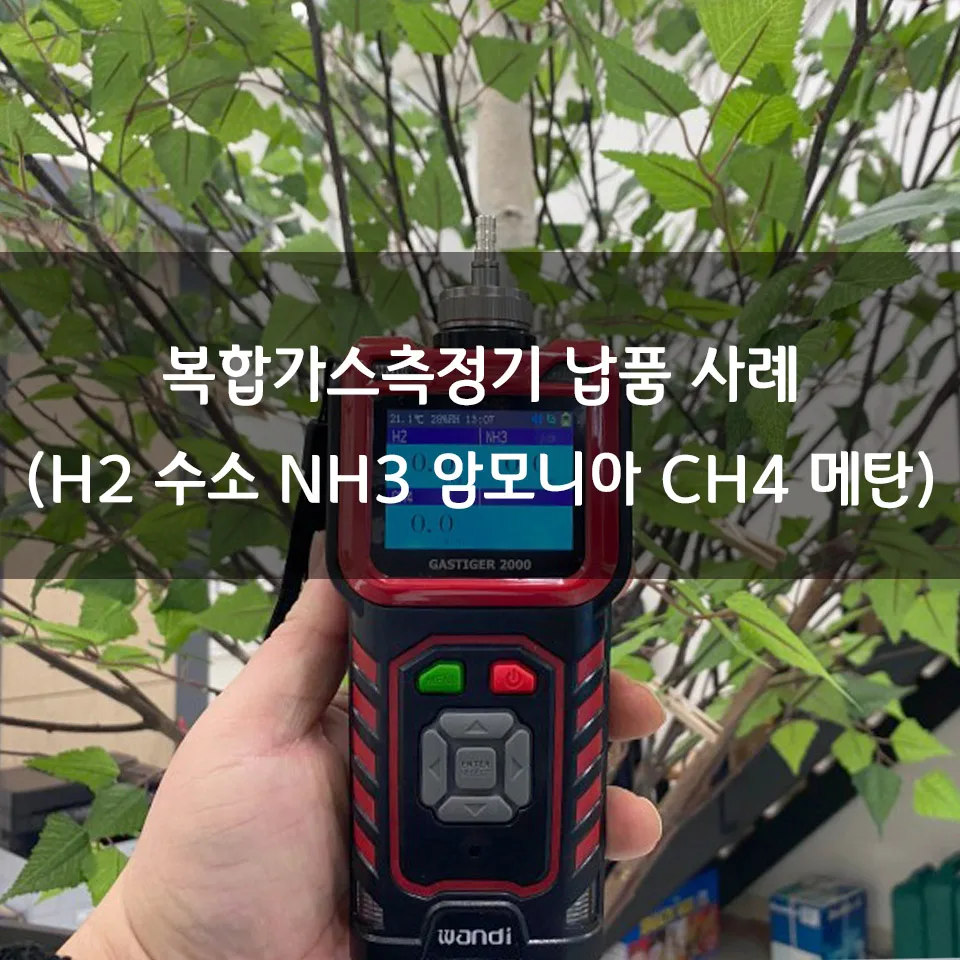 G2000 가스 누설 측정기 (H2, NH3, CH4)