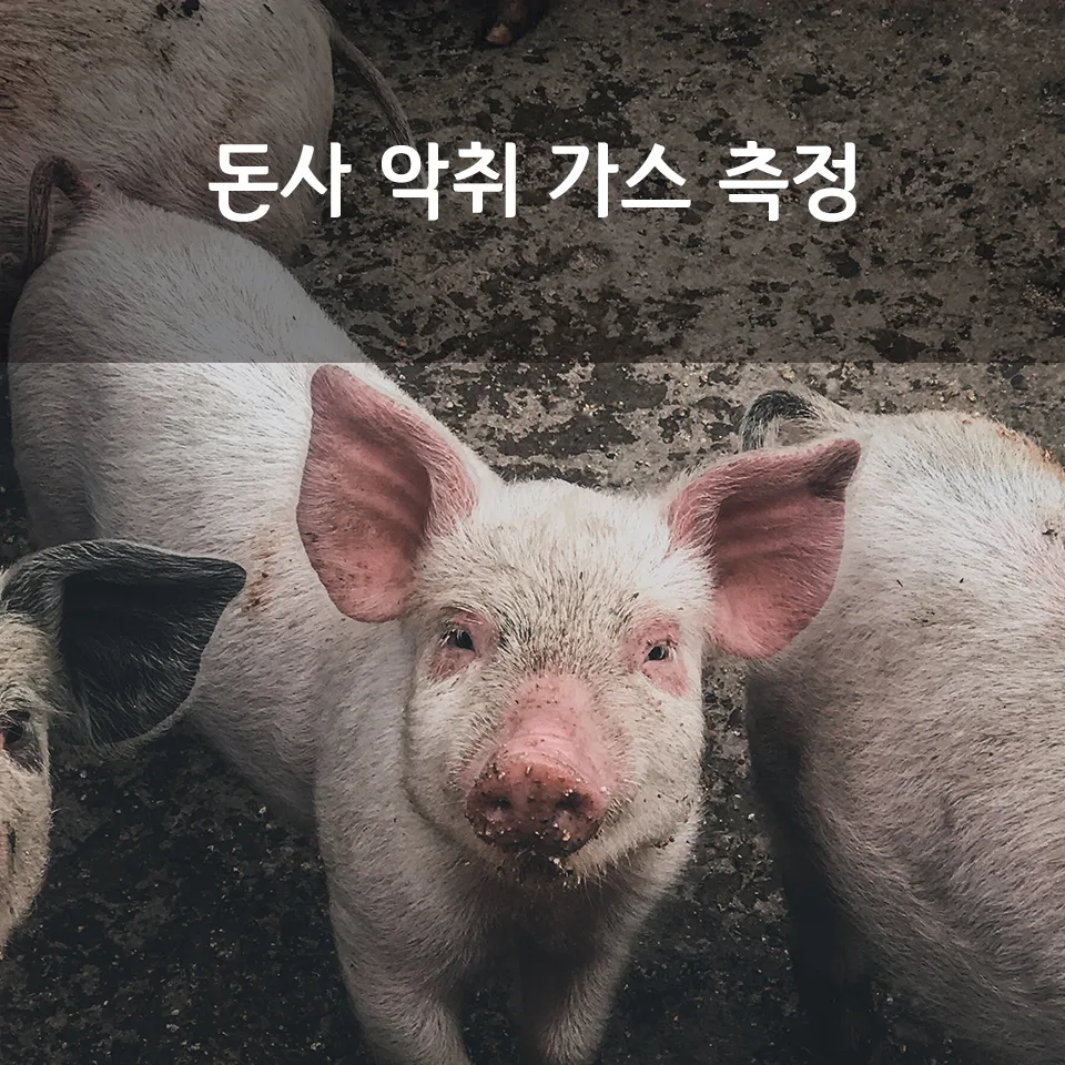 돈사 악취 가스 측정