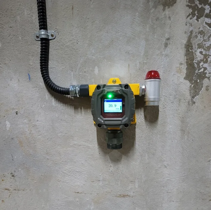 [레이먼드] 폐수/하수처리장 산소농도측정기 설치사례