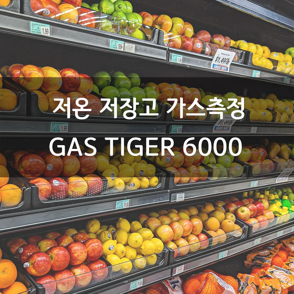 가스타이거6000 저온 저장고 가스측정